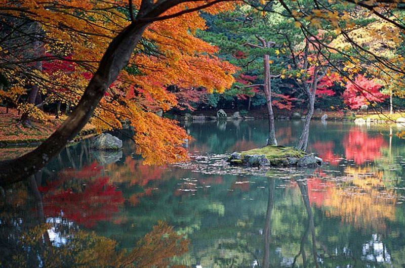 Japan, valuta, vacker natur